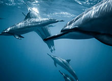 8868体育官网-莫德里奇到达米兰总部，大批球迷等候并高呼他的名字